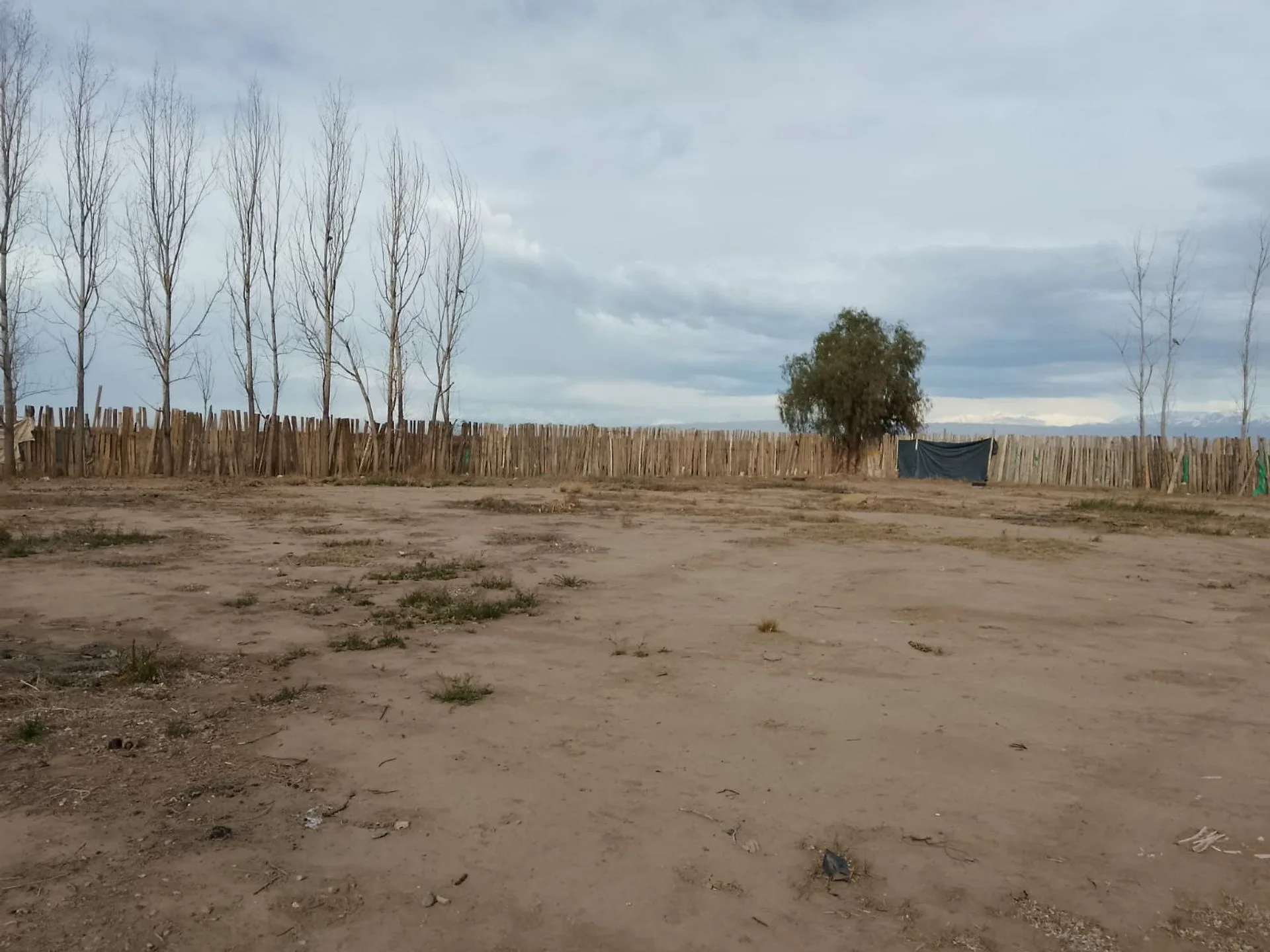 Alquiler terreno con galpón Perdriel Luján de cuyo foto 4