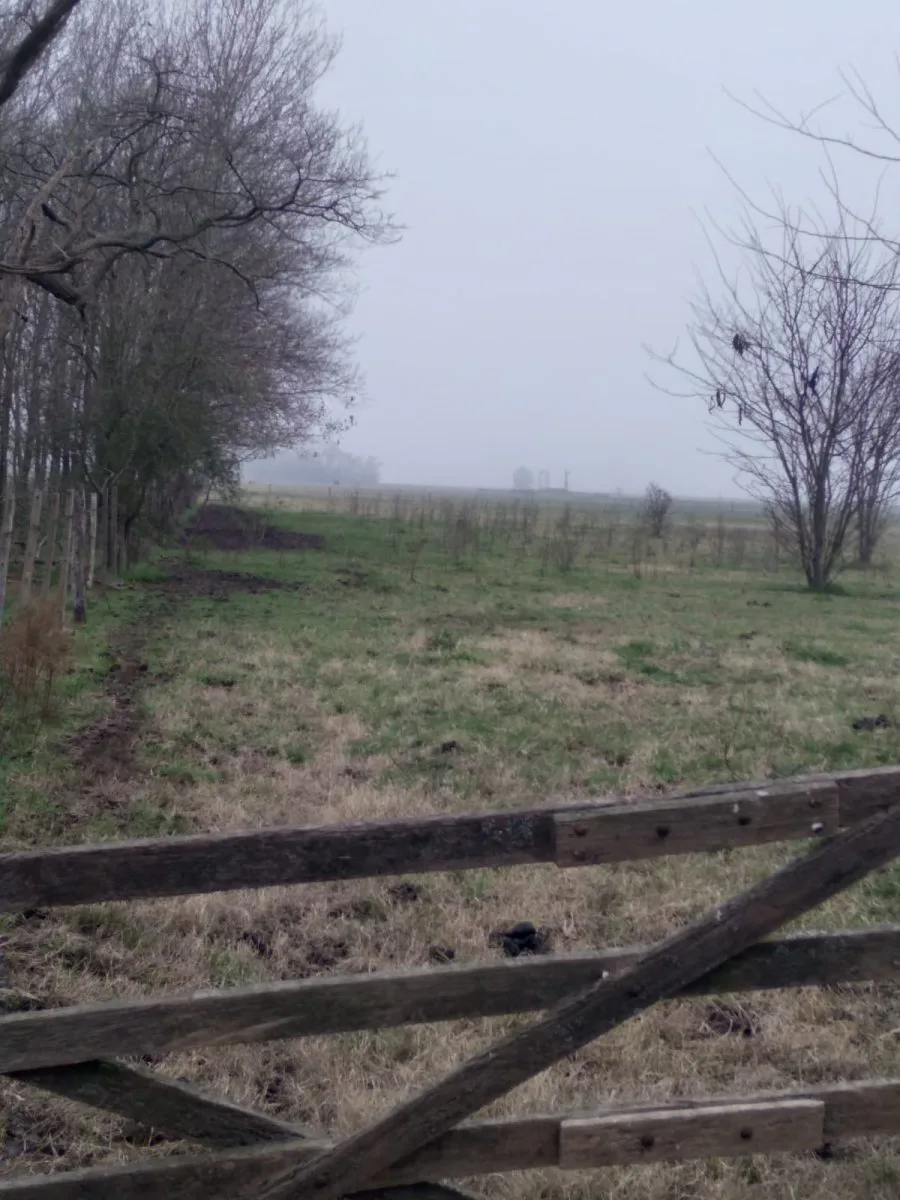 Campo 11 Has. San Miguel Del Monte, Buenos Aires foto 3