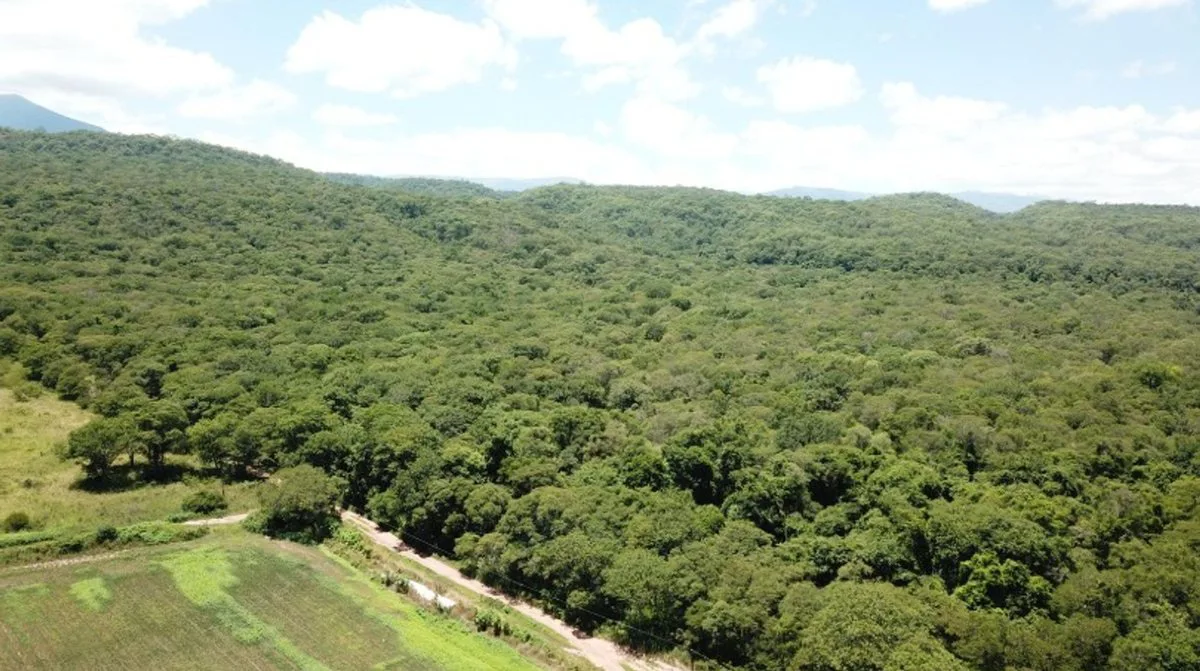 VENTA FINCA VIRGEN 20,7 HAS SANTA CLARA foto 3
