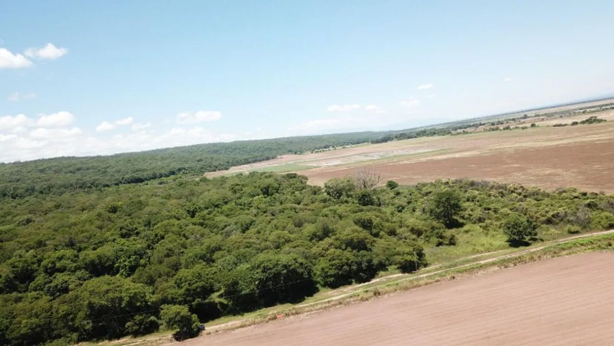 VENTA FINCA VIRGEN 20,7 HAS SANTA CLARA foto 4
