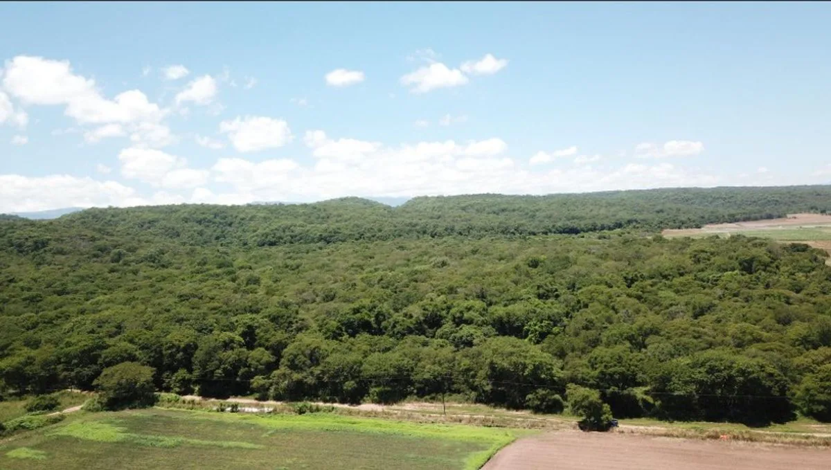 VENTA FINCA VIRGEN 20,7 HAS SANTA CLARA foto 5