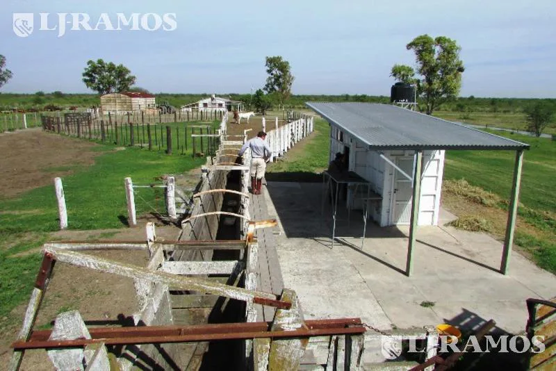 4338 ha ganaderas sobre Río Salado. Zona Argentina/Selva, Santiago del Estero. foto 3