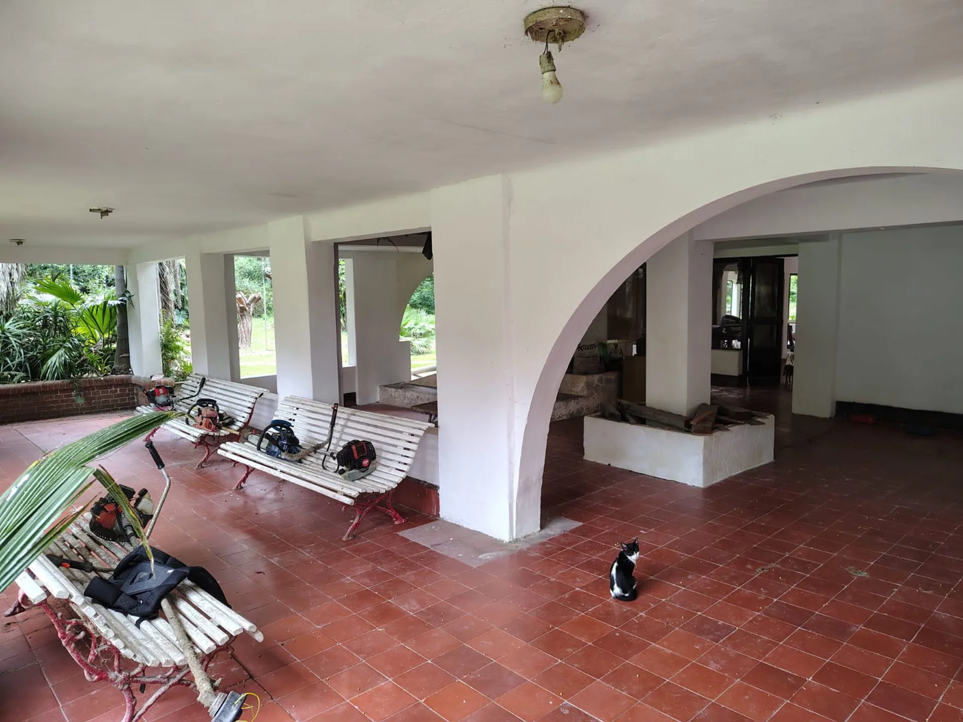 VENTA 26,9 ha en 1ra. Secc. Delta. Apto inversores foto 3