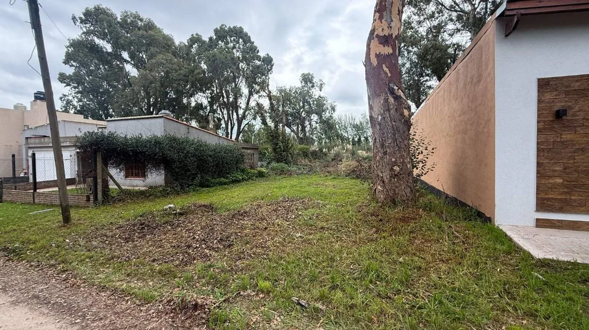 VENTA LOTE BARRIO LAS MARGARITAS foto 3