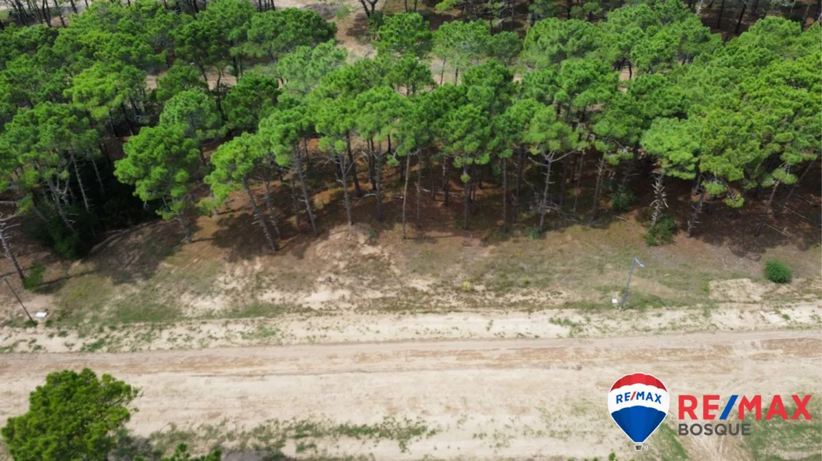 Venta Lote Pinamar Bosques foto 2