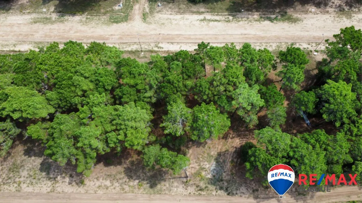 Venta Lote Pinamar Bosques foto 3