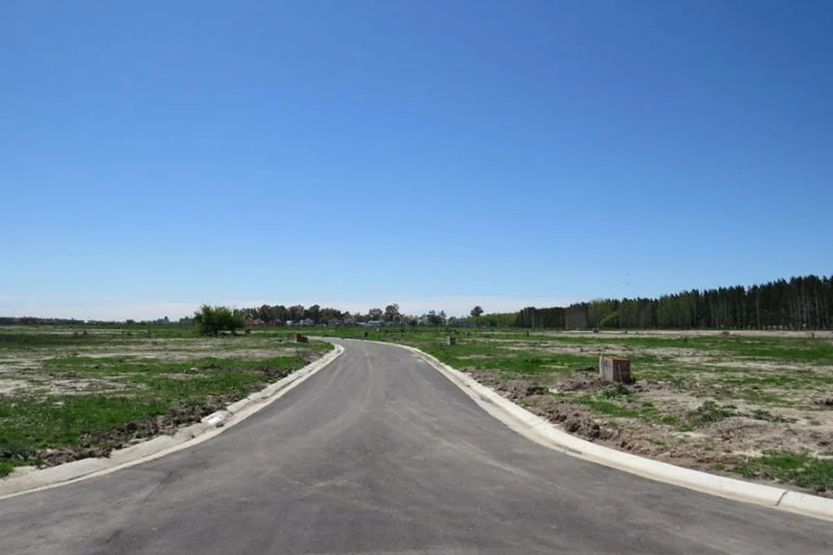 Santa Inés - Lote: 313