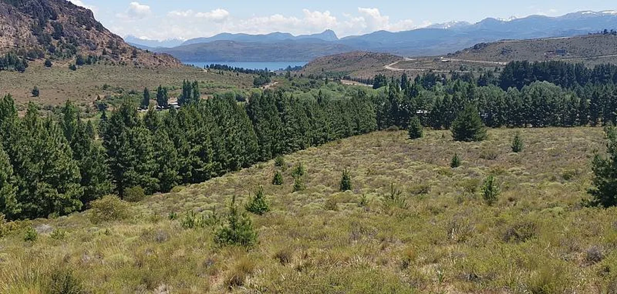 Ñirihuau - Camino viejo parcela 3 foto 5