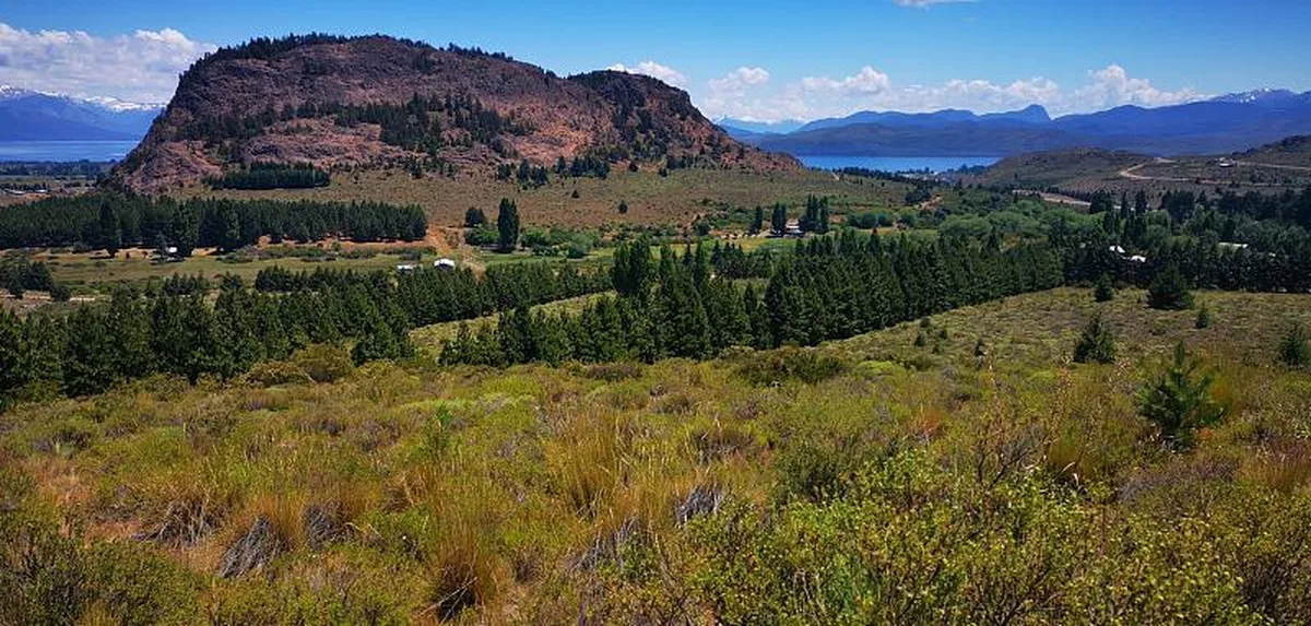 Ñirihuau - Camino viejo parcela 3 foto 5