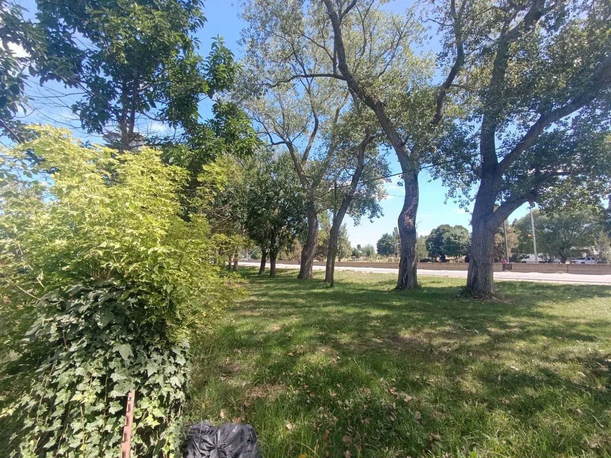 Venta Lote 647m2 en Batan foto 5