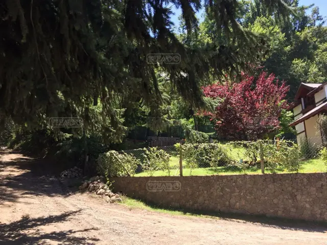 Ensueños II