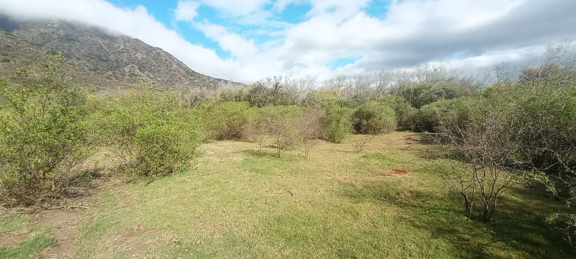TERRENO EN VENTA ZONA RUTA 1 LISTO PARA ESCRITURAR foto 2