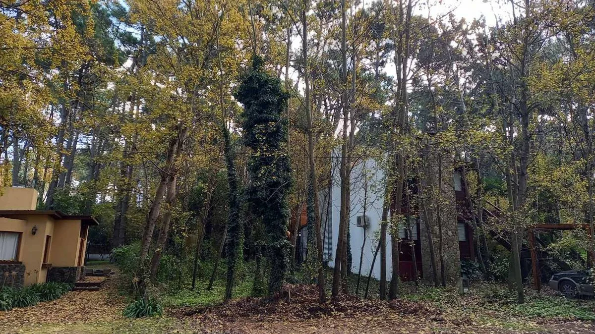 LOTE COMERCIAL RESIDENCIAL en VENTA en MAR AZUL foto 2