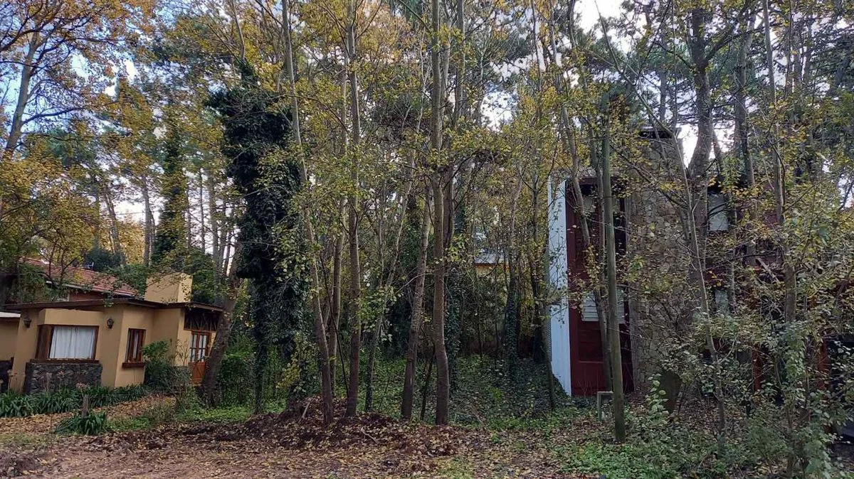LOTE COMERCIAL RESIDENCIAL en VENTA en MAR AZUL foto 3