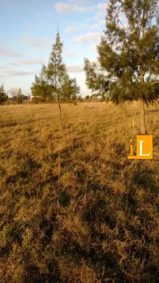 LOTES CON FINANCIACION EN Bº LAS ACACIAS - SOBRE RUTA 210 - BRANDSEN foto 5