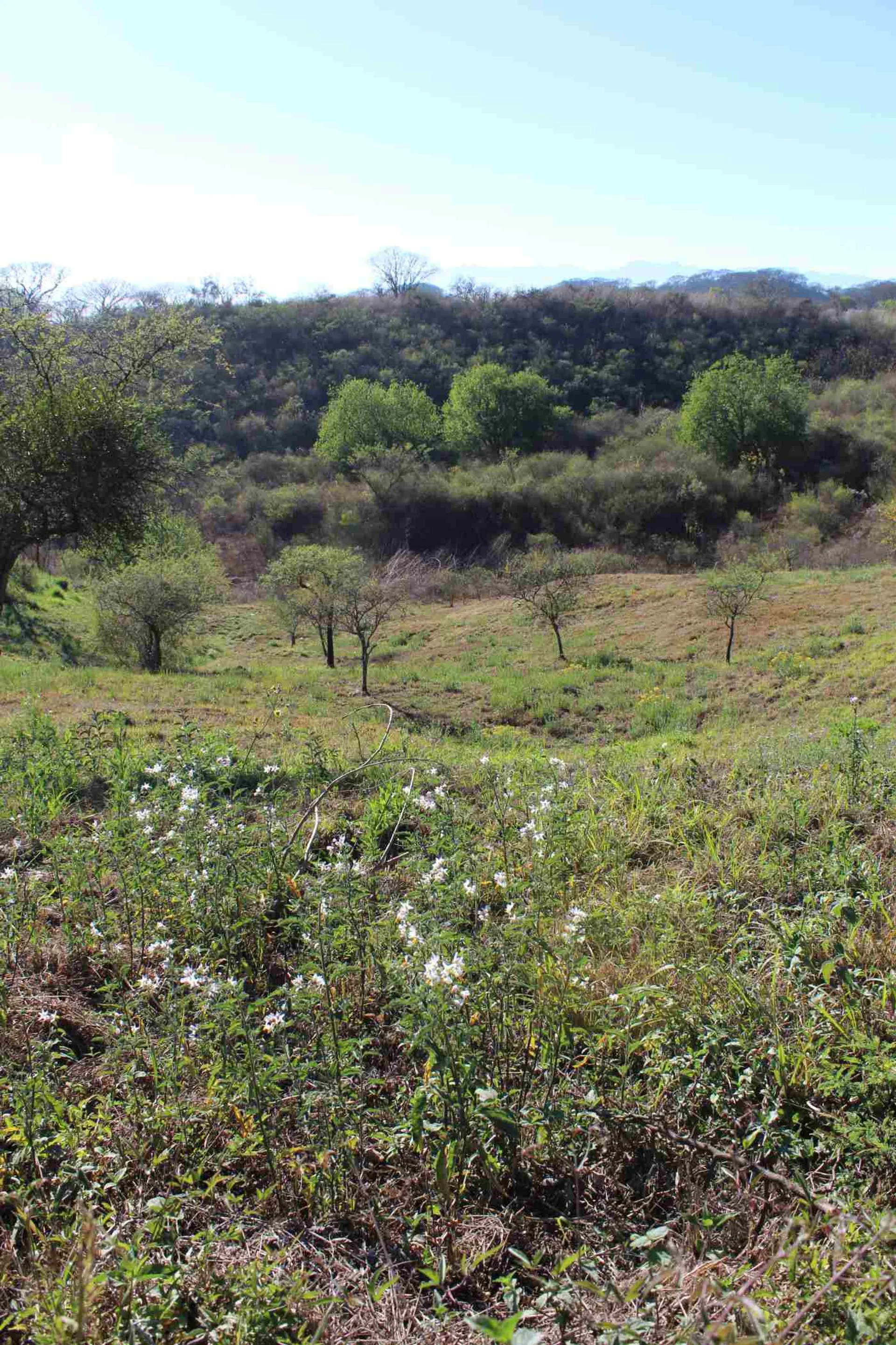 TERRENO EN VENTA LA RESERVA DE SAN LORENZO CHICO foto 3