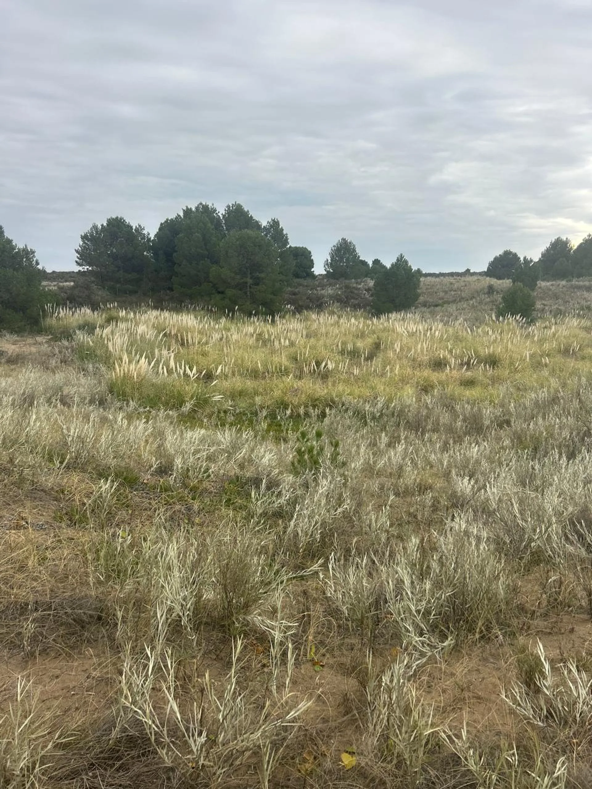 VENTA LOTE EN BALNEARIO SAUCE GRANDE