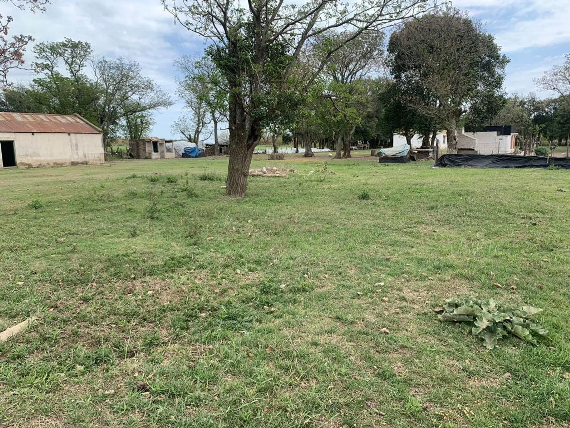 VENTA CAMPO EN FIGHIERA - 8 HECTAREAS foto 2