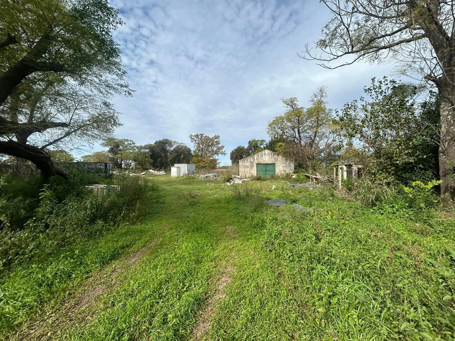 VENTA CAMPO EN FIGHIERA - 8 HECTAREAS foto 4