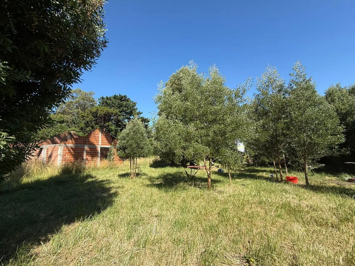 Venta Lote aprox800m2Barrio Parque Peña,Cedro Azul foto 2