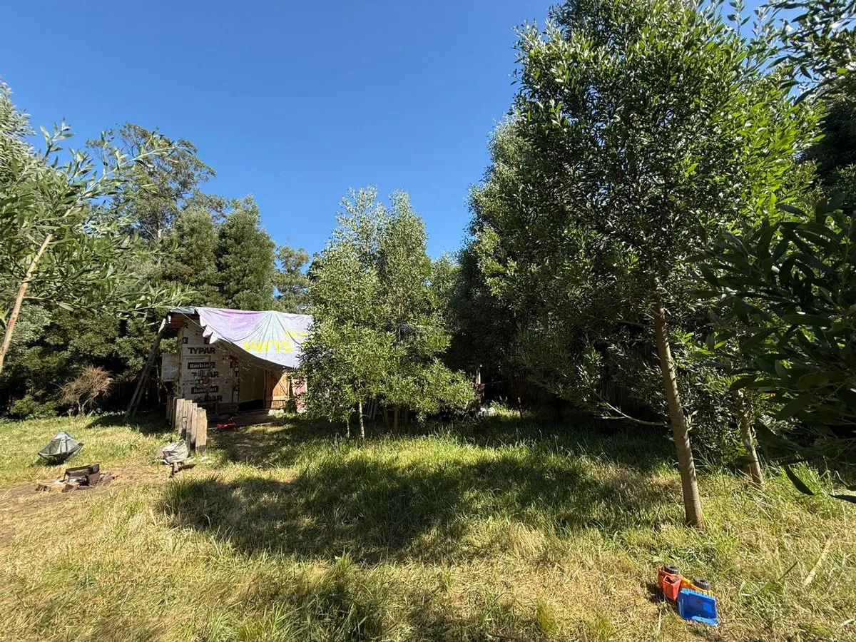Venta Lote aprox800m2Barrio Parque Peña,Cedro Azul foto 3