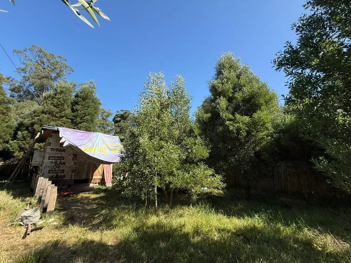 Venta Lote aprox800m2Barrio Parque Peña,Cedro Azul foto 4