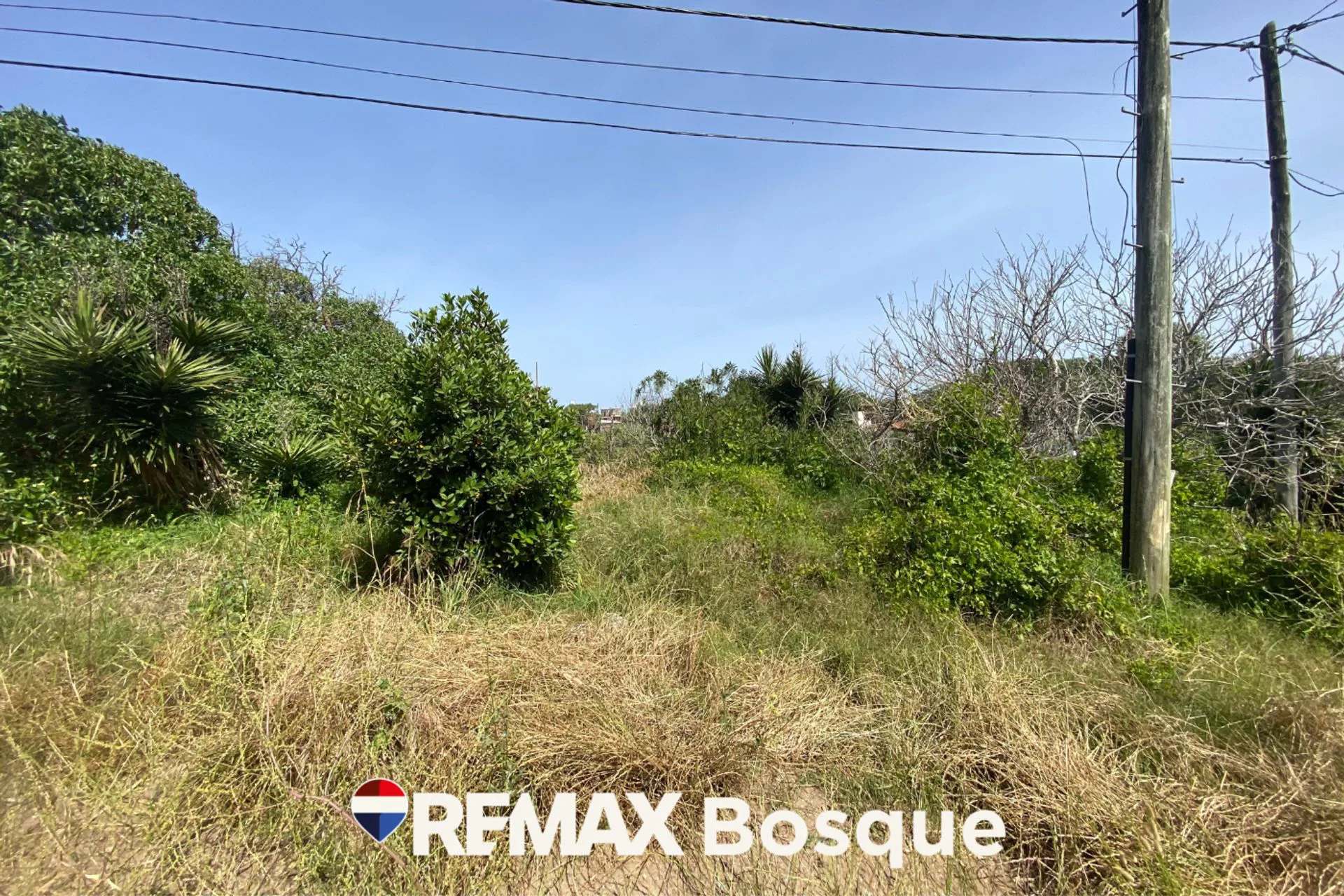 Venta Lote en Mar de Ostende 4 cuadras del mar foto 3