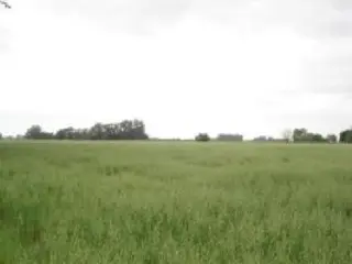 Propiedad rural de 6 hectáreas para uso foto 1