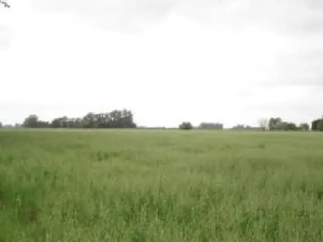 Propiedad rural de 6 hectáreas para uso