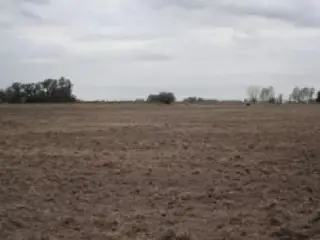 Propiedad rural de 6 hectáreas para uso foto 2