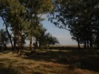Propiedad rural de 6 hectáreas para uso foto 3