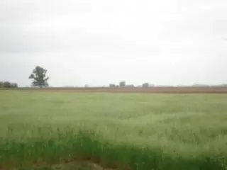 Propiedad rural de 6 hectáreas para uso foto 4