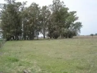 Propiedad rural de 6 hectáreas para uso foto 5