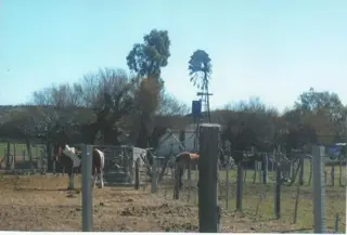 RETASADO--CAMPO GANADERO EN VALCHETA-PCIA DE RIO NEGRO-  8.000 HECTÁREAS foto 1