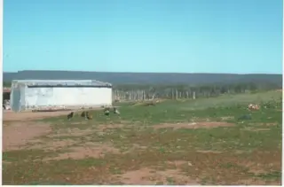 RETASADO--CAMPO GANADERO EN VALCHETA-PCIA DE RIO NEGRO-  8.000 HECTÁREAS foto 3