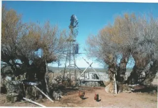 RETASADO--CAMPO GANADERO EN VALCHETA-PCIA DE RIO NEGRO-  8.000 HECTÁREAS foto 5