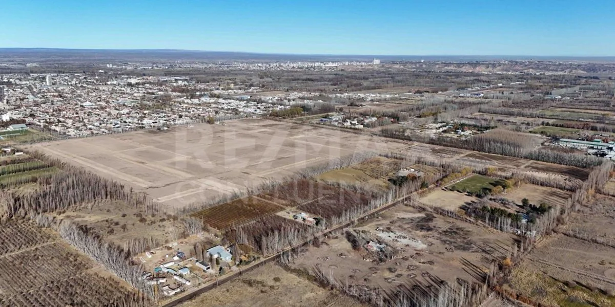 VENTA LOTE RESIDENCIAL  B° GRAN ALAMEDA CIPOLLETTI foto 4