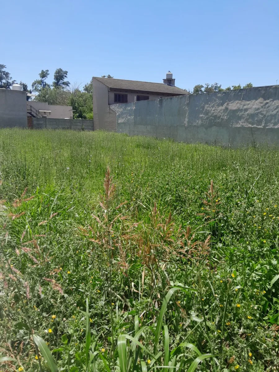 Lote en el Callao, Cortínez, Luján en Venta foto 3