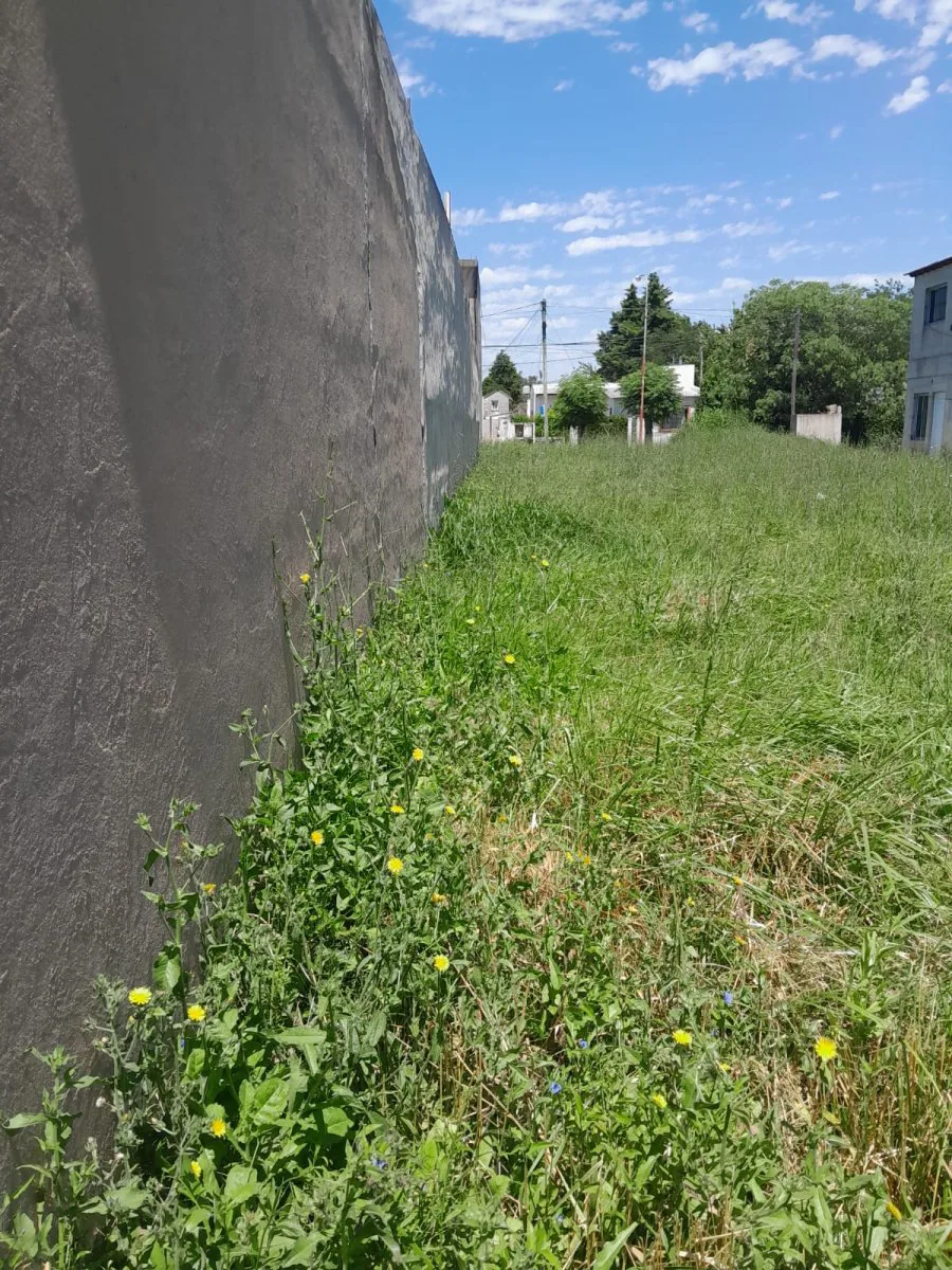 Lote en el Callao, Cortínez, Luján en Venta foto 4