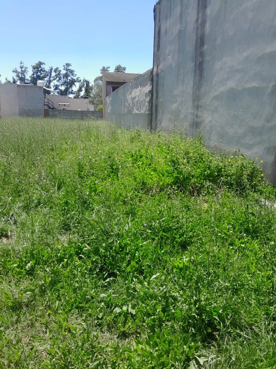 Lote en el Callao, Cortínez, Luján en Venta foto 5