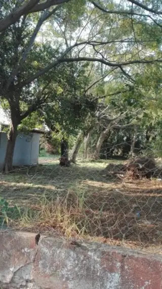Importantes Lotes ideal inversor!! El Delta 2300 Ituzaingo. 2 lotes de 10 x 45 mtr. Sobre asfalto. foto 4