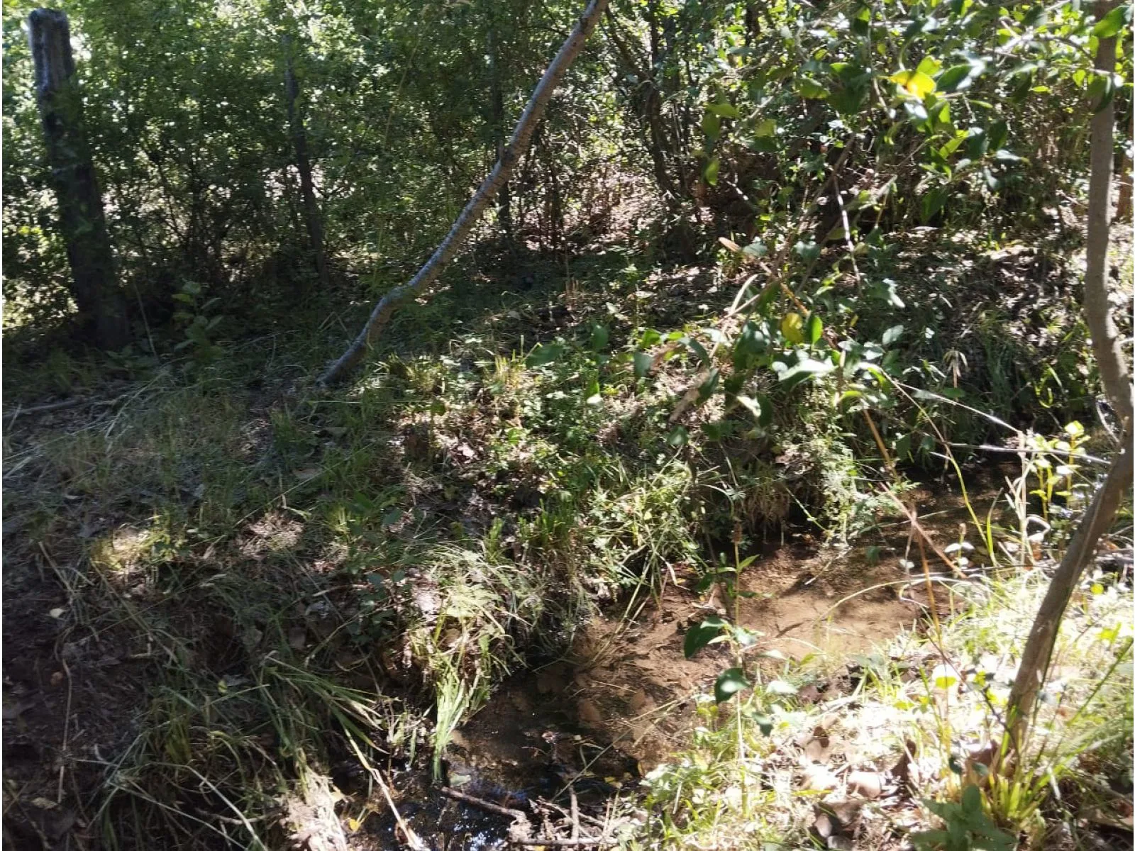 (035) EL BOLSON (Mallin Ahogado) Terrenos en condominio de 1.950mts2 foto 4