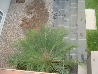 alquiler foto 4