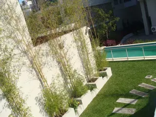 alquiler foto 5