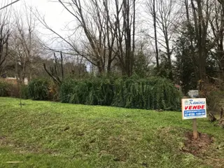 Lote En Venta 2500 m2 Tierras de Morenito - Moreno Norte foto 1