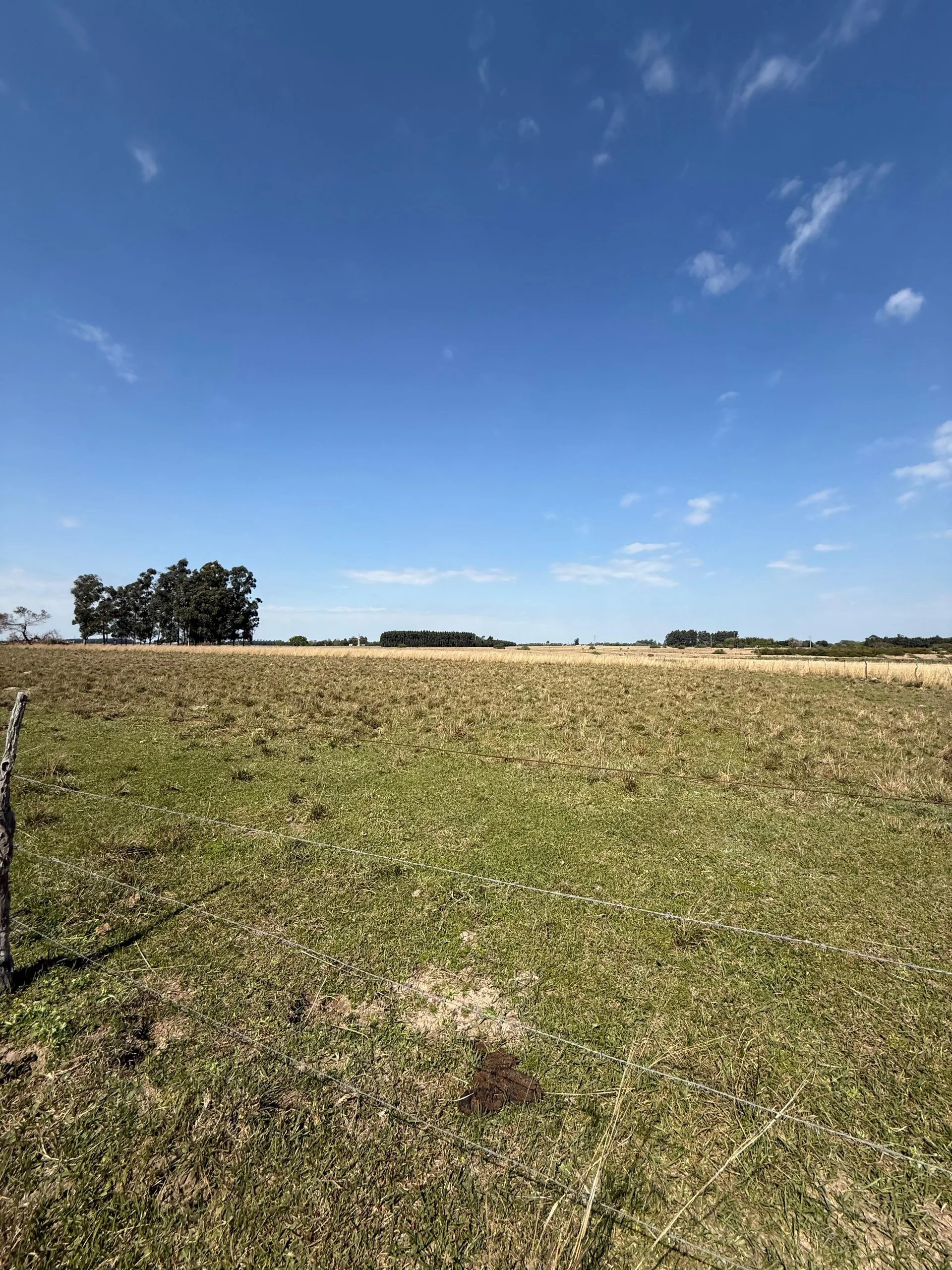 Campo de 5 has en venta Colonia Porvenir foto 2