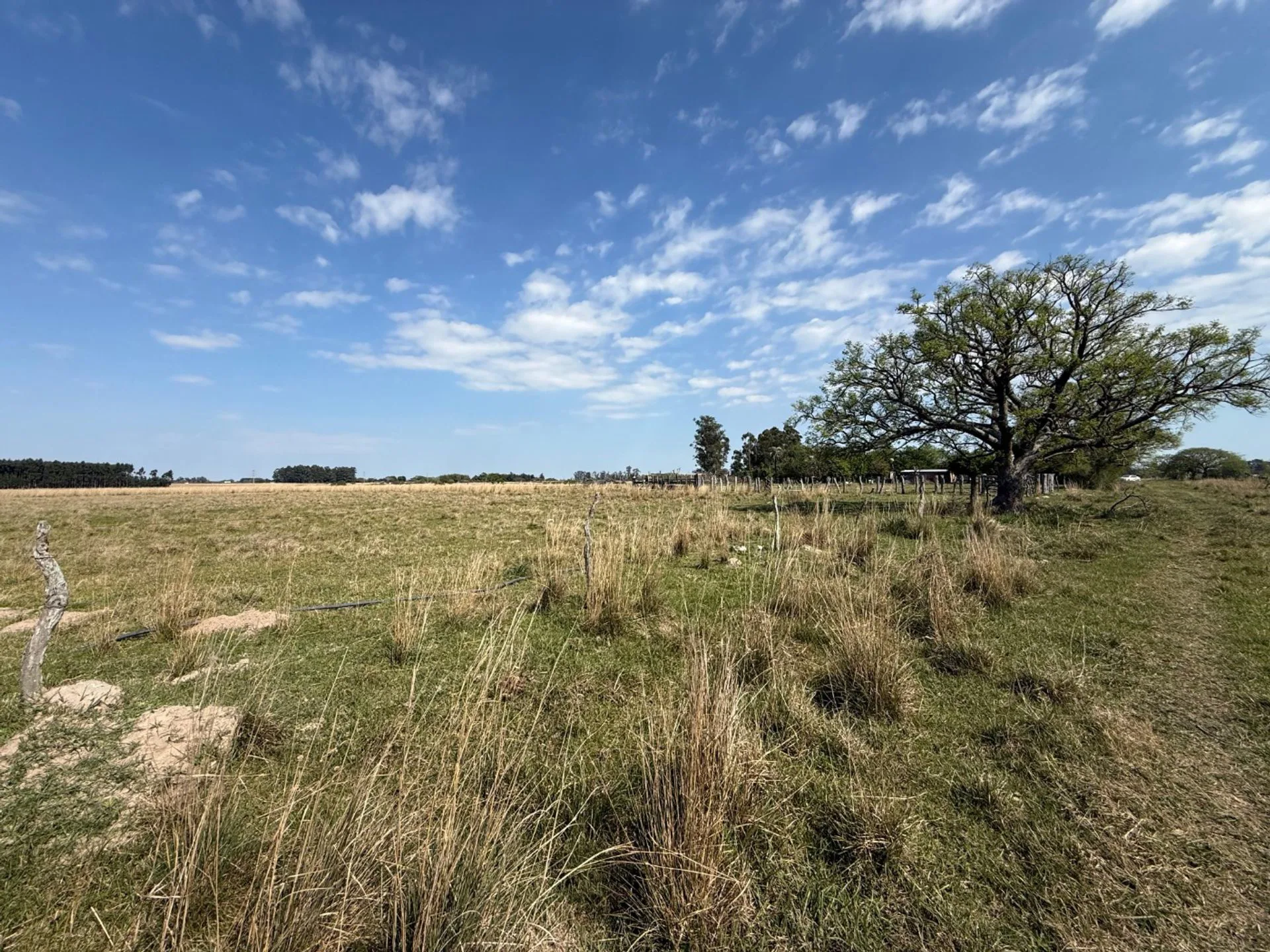Campo de 5 has en venta Colonia Porvenir foto 3