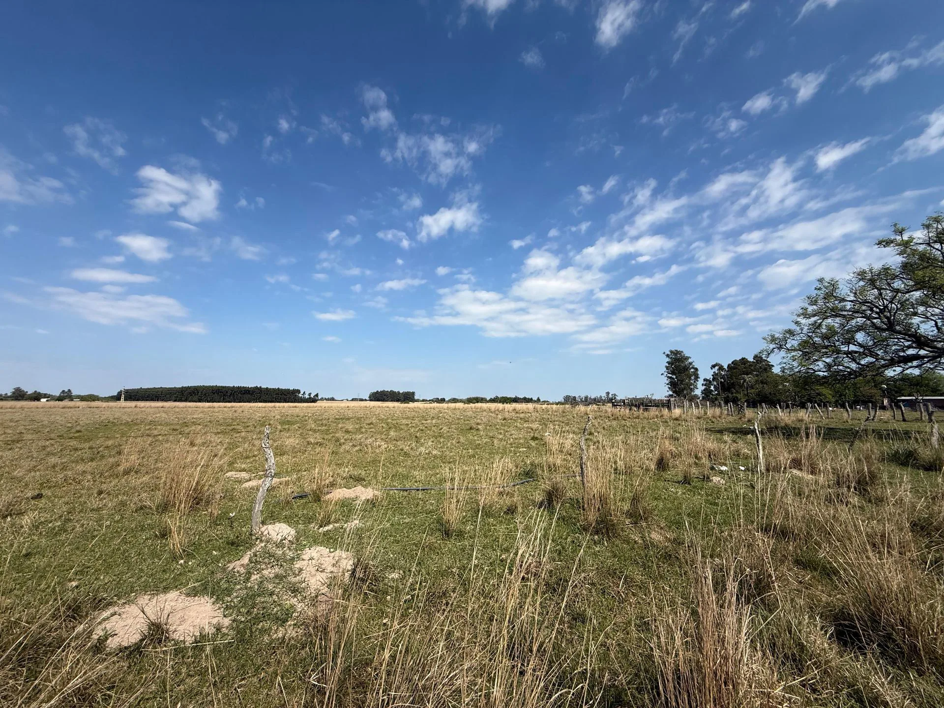 Campo de 5 has en venta Colonia Porvenir foto 4