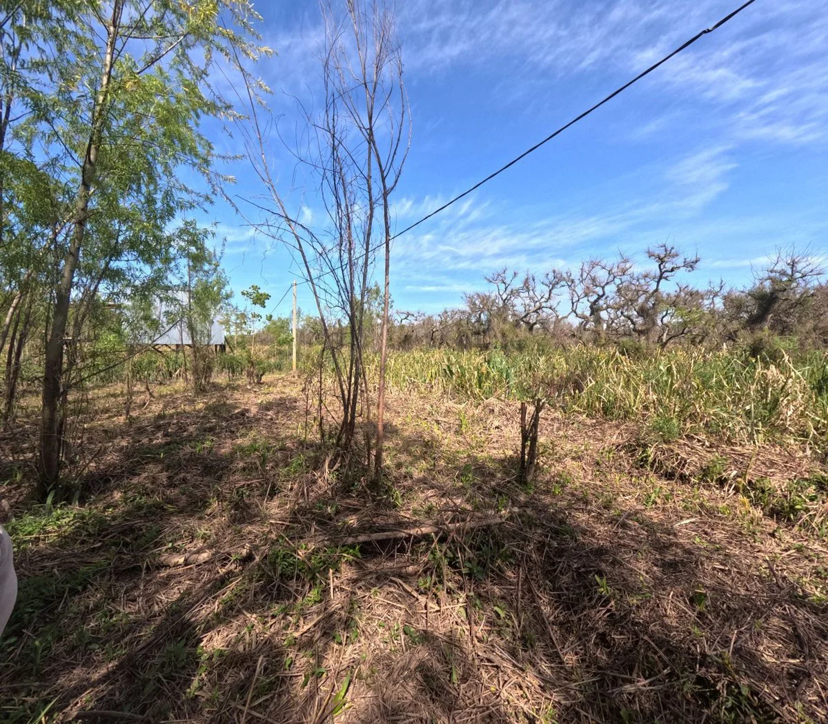 Dos lotes en venta en Arroyo Urión con Escritura foto 5