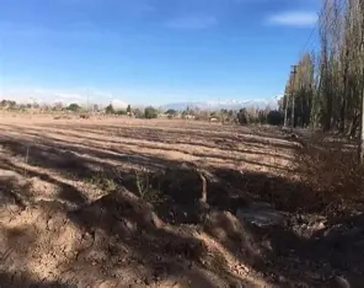 Lote en Maipu foto 2